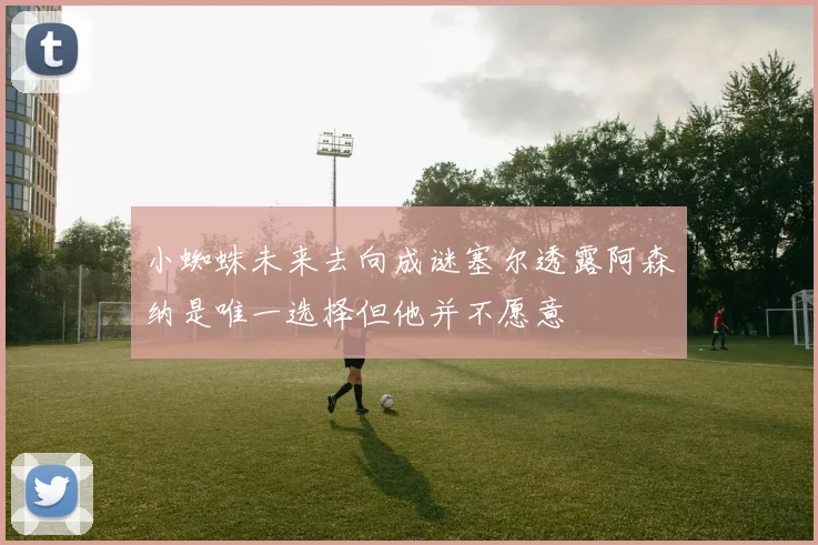 小蜘蛛未来去向成谜塞尔透露阿森纳是唯一选择但他并不愿意