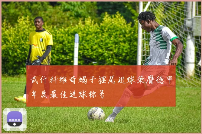 武什科维奇蝎子摆尾进球荣膺德甲年度最佳进球称号